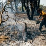 Última hora de los incendios forestales, en directo | Los trabajos en la sierra oeste de Madrid se centran en el entorno del río Cofio, uno de los puntos críticos