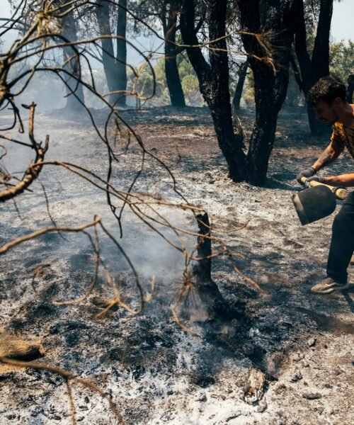 Última hora de los incendios forestales, en directo | Los trabajos en la sierra oeste de Madrid se centran en el entorno del río Cofio, uno de los puntos críticos