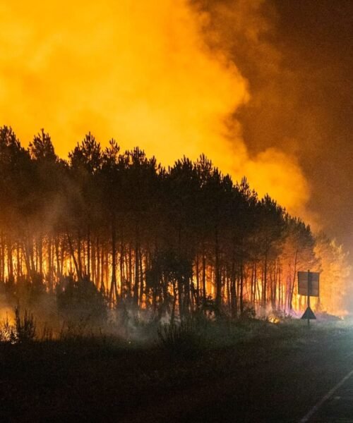 El fuego en el suroeste de Francia se acerca a 30 kilómetros de Burdeos, aunque pierde virulencia