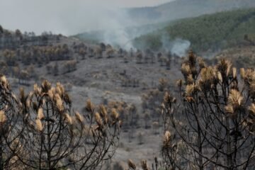 El incendio de La Mierla suma 9.000 hectáreas afectadas y 700 evacuados en 16 municipios