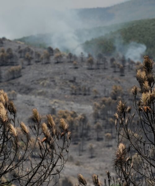 El incendio de La Mierla suma 9.000 hectáreas afectadas y 700 evacuados en 16 municipios