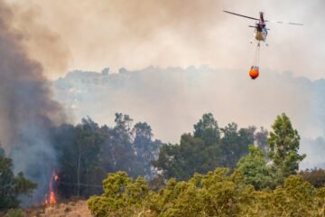 Última hora de los incendios forestales, en directo | Desalojados los 382 vecinos de Villanueva de las Cruces (Huelva) por un incendio que afecta ya a 1.200 hectáreas