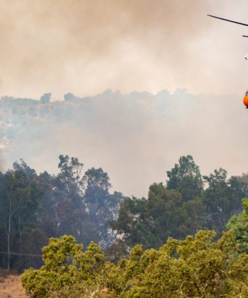 Última hora de los incendios forestales, en directo | La Junta de Andalucía ordena el desalojo de los 382 vecinos de Villanueva de las Cruces (Huelva)