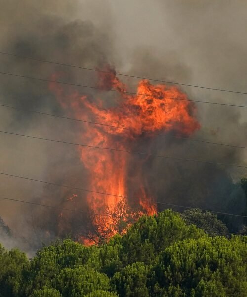 Los incendios en España, en imágenes