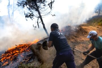 Última hora de los incendios forestales, en directo | El incendio en Madrid se mantiene sin reproducciones durante la noche