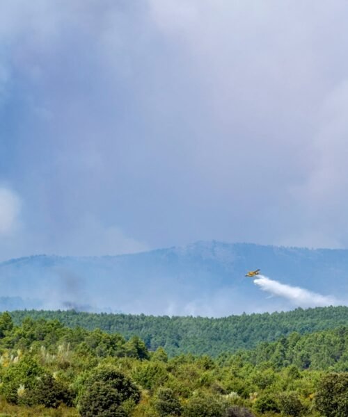 Última hora de los incendios forestales – 19 de julio de 2026 | Estabilizado el incendio en Orés (Zaragoza) tras quemar cerca de 15.000 hectáreas