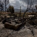 Últimas noticias del incendio forestal de Los Gallardos (Almería), en directo | El incendio de Los Gallardos se mantiene estable con un perímetro sin actividad