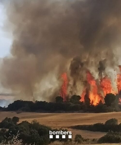 Los Bomberos estabilizan el incendio de Guimerà y levantan el confinamiento de más de 20.000 personas