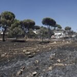 Más de 10.000 evacuados por tres incendios simultáneos en Madrid: “El fuego vino como un cohete”