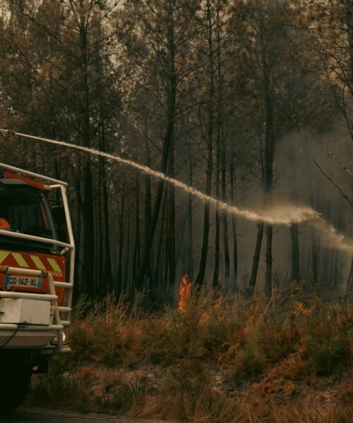 Incendios forestales en España, última hora en directo: Ávila, Madrid y Toledo suman 77.000 hectáreas calcinadas