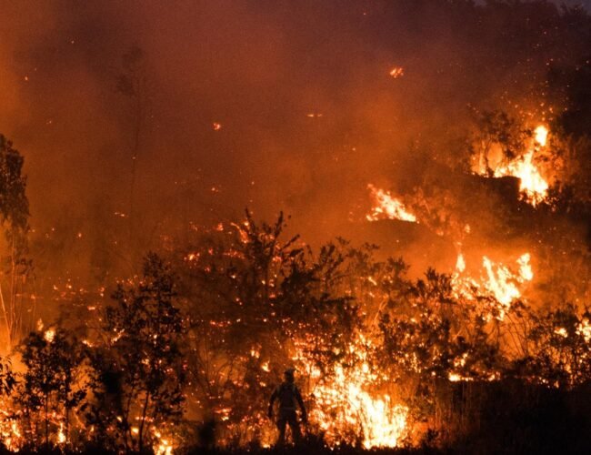 Incendio de la Sierra Norte de Guadalajara, en directo: avance del fuego en La Mierla y Selas