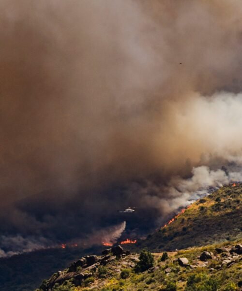 Última hora de los incendios forestales, en directo | El incendio en Ávila obliga a confinar Burgohondo, El Tiemblo y Navaluenga
