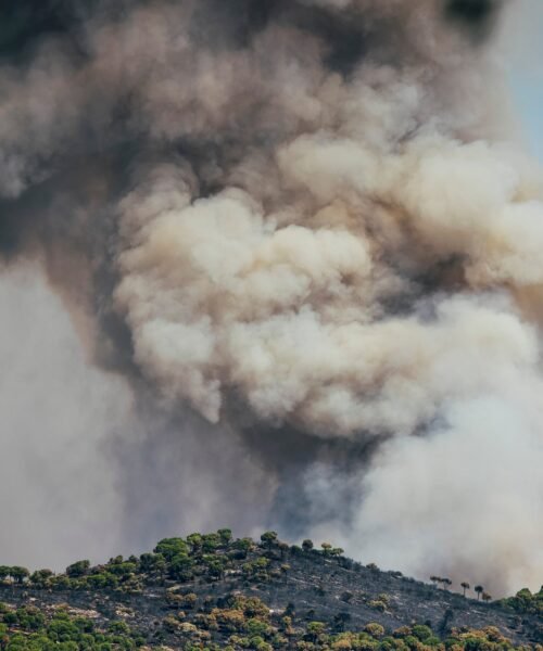 Los incendios forestales en España – 27 de julio de 2026 | Protección Civil informa de que la situación en el incendio de Ávila es “bastante más favorable”