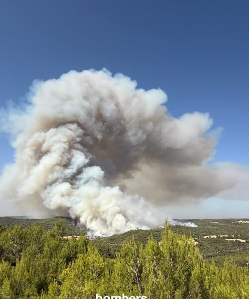 Los bomberos extinguen el incendio en Cunit (Tarragona) pero continúan trabajando en el de Rubió (Barcelona)