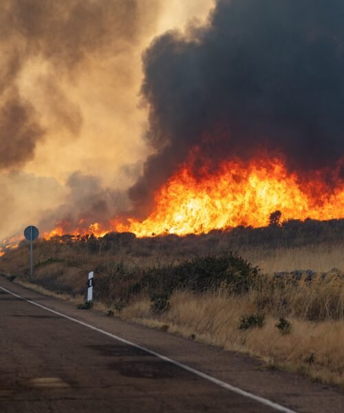 Última hora de los incendios forestales, en directo | Un incendio en el parque natural Arribes del Duero (Zamora) obliga a desalojar 12 localidades