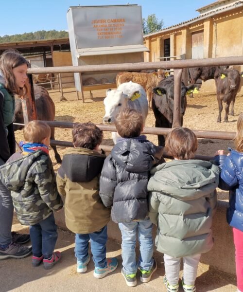 El sector cultural, preocupado por la suspensión de salidas escolares: “Nos deja tocados y hundidos”