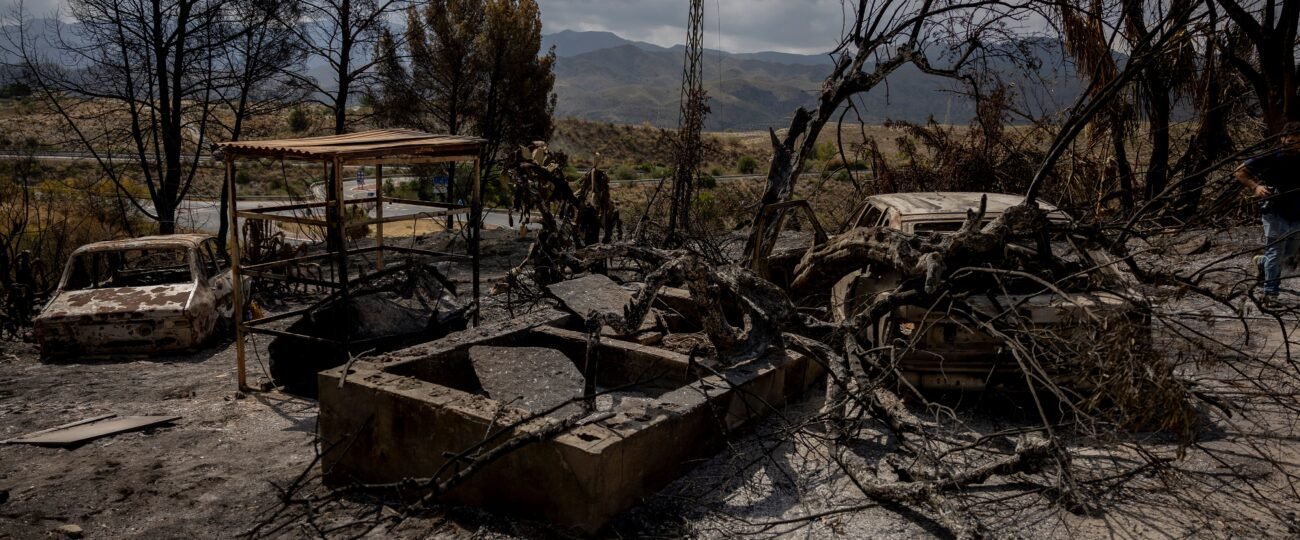 Últimas noticias del incendio forestal de Los Gallardos (Almería), en directo | Los técnicos comienzan los trabajos para restablecer el suministro de electricidad en Los Gallardos