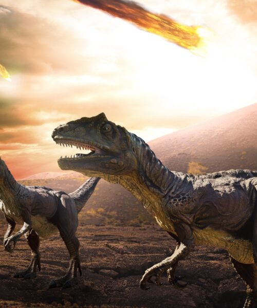 ¿Se achicharraron los dinosaurios en pocas horas? El meteorito creó una capa de polvo que convirtió el planeta en una parrilla
