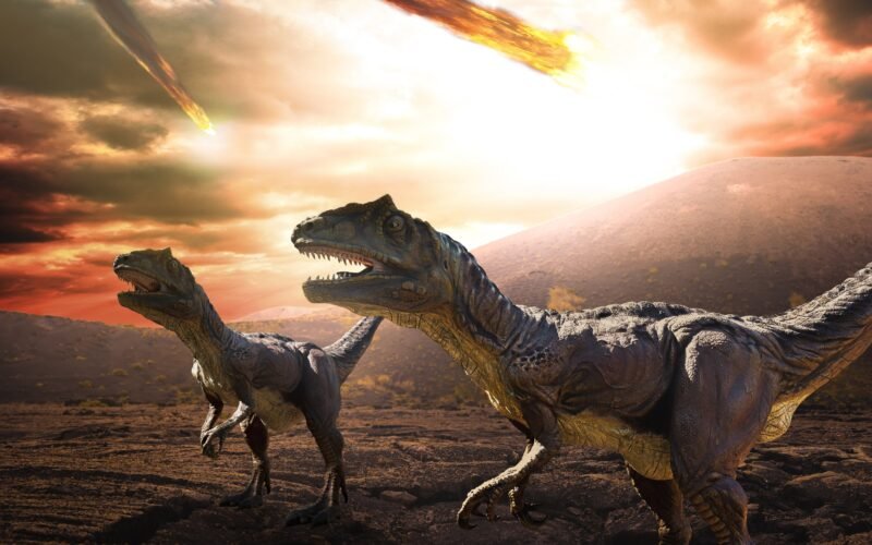 ¿Se achicharraron los dinosaurios en pocas horas? El meteorito creó una capa de polvo que convirtió el planeta en una parrilla