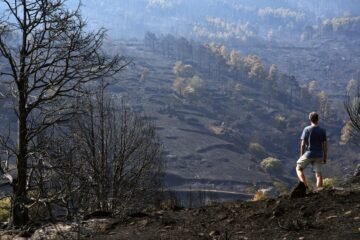 Última hora de los incendios forestales, en directo | Marlaska anuncia que en las últimas 24 horas “no ha habido ningún avance del fuego” en el incendio de Ávila y Madrid