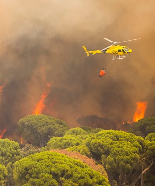 Última hora de los incendios forestales, en directo | El incendio de Madrid sigue activo mientras las labores de extinción se concentran en el embalse de San Juan