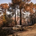 Los incendios que asolan España, en imágenes | Día 29 de julio