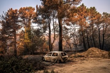 Los incendios que asolan España, en imágenes | Día 29 de julio