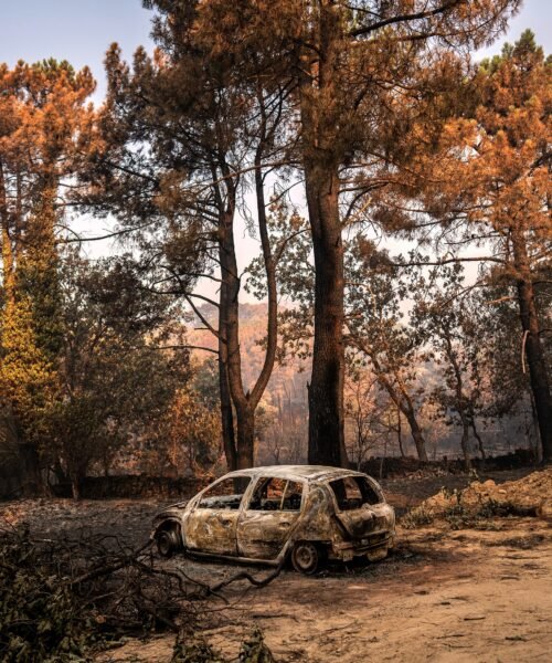 Los incendios que asolan España, en imágenes | Día 29 de julio