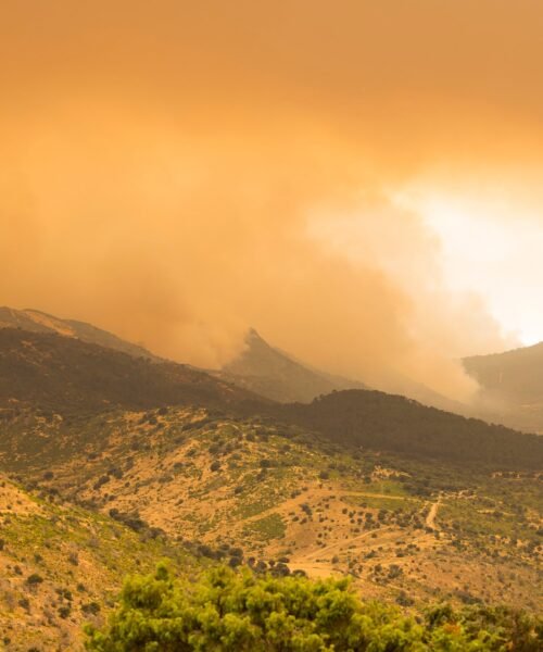 Última hora de los incendios forestales, en directo | Más de 60.000 afectados por el fuego voraz en Madrid y Ávila