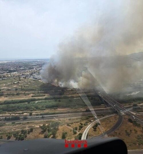 Detenido un pirómano con antecedentes por provocar incendios forestales en El Prat