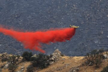Últimas noticias del incendio forestal de Los Gallardos (Almería), en directo | Las buenas condiciones meteorológicas permiten ser optimistas sobre la estabilización del incendio
