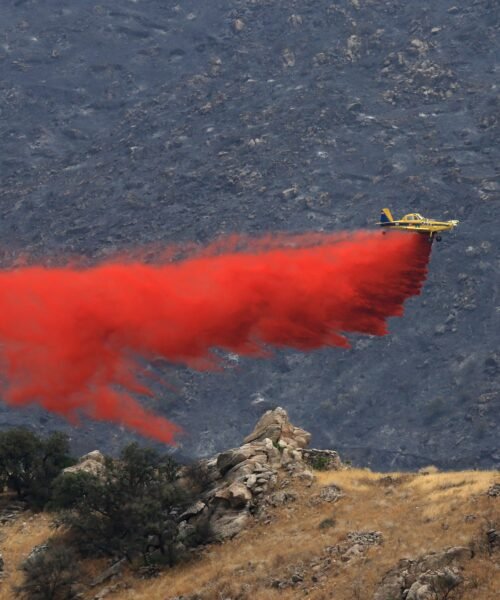 Últimas noticias del incendio forestal de Los Gallardos (Almería), en directo | La Junta de Andalucía autoriza el regreso de 600 personas evacuadas por el incendio
