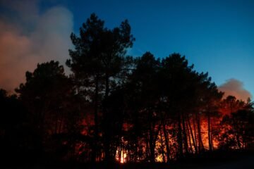 Un incendio devora el bosque de Fontainebleau, a las puertas de París