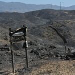 Últimas noticias de los incendios forestales, en directo | El Gobierno sitúa el incendio de Los Gallardos entre los tres más graves de la historia de España