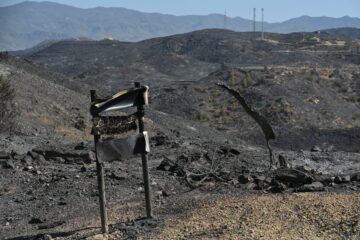 Últimas noticias de los incendios forestales, en directo | El Gobierno sitúa el incendio de Los Gallardos entre los tres más graves de la historia de España