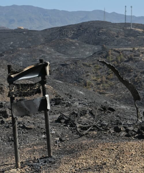 Últimas noticias de los incendios forestales, en directo | El Gobierno sitúa el incendio de Los Gallardos entre los tres más graves de la historia de España