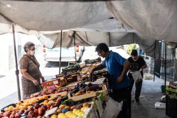 Interior da por estabilizados los incendios de Madrid y Ávila