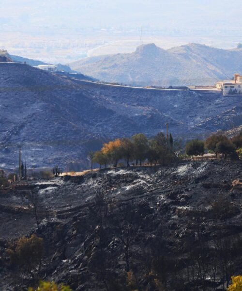 Viento, maleza y viviendas sueltas: así se convirtió un “chispazo” en un incendio letal en Almería