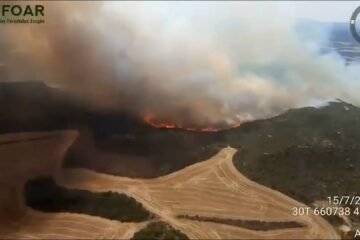 Incendios forestales del 15 de julio de 2026 | Los bomberos estabilizan el incendio de Sant Quirze Safaja (Barcelona)