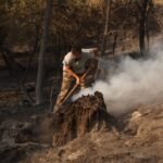 Última hora de los incendios forestales, en directo | Los incendios en Madrid han afectado a aproximadamente 27.000 hectáreas y destruido por completo 100 primeras viviendas