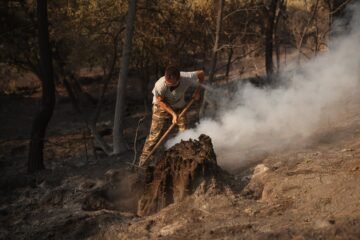 Última hora de los incendios forestales, en directo | Los incendios en Madrid han afectado a aproximadamente 27.000 hectáreas y destruido por completo 100 primeras viviendas