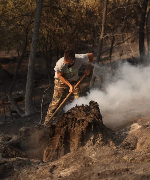 Última hora de los incendios forestales, en directo | Los incendios en Madrid han afectado a aproximadamente 27.000 hectáreas y destruido por completo 100 primeras viviendas