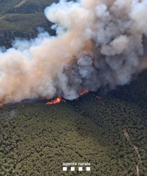 Cataluña afronta otra jornada con simultaneidad de incendios, con unos 220 evacuados