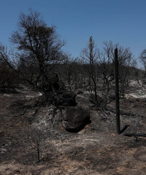 Los incendios que sí sabíamos cómo evitar