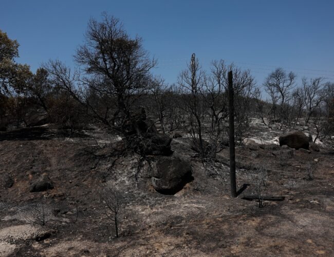 Los incendios que sí sabíamos cómo evitar