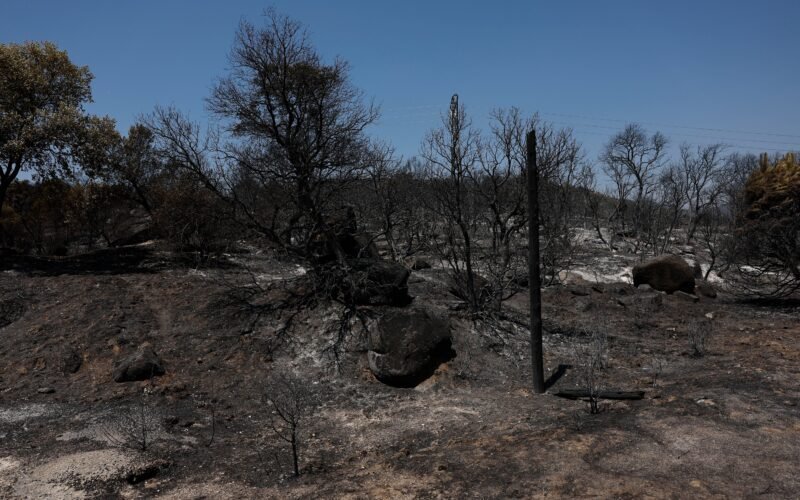 Los incendios que sí sabíamos cómo evitar