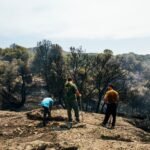 Carrera contra el fuego en Ávila y Madrid: 24 horas clave antes de la ola de calor