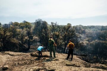 Carrera contra el fuego en Ávila y Madrid: 24 horas clave antes de la ola de calor