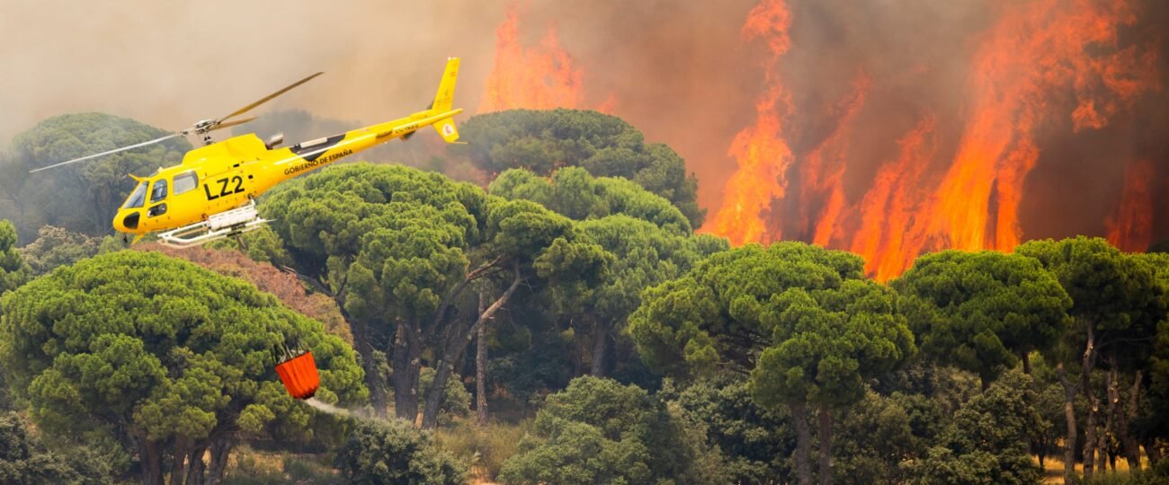 Última hora de los incendios forestales, en directo | Marlaska: “Estamos enfrentando el incendio más importante y agresivo de la historia de España”