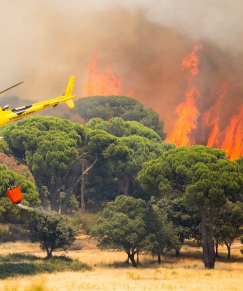 Última hora de los incendios forestales, en directo | Marlaska: “Estamos enfrentando el incendio más importante y agresivo de la historia de España”